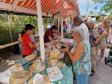 reigershofkaasmarkt