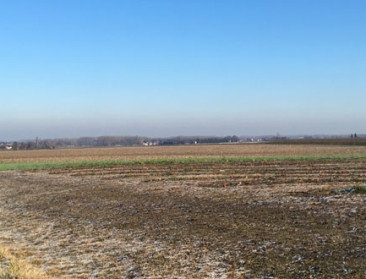Akker- en weidevogels lijken gedoemd om te verdwijnen