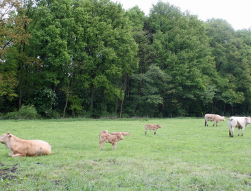 Toegang tot grond is één van de thema's op boerenforum