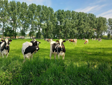 Vijf hectare van OCMW Gent ingezet voor duurzaam landbouwproject