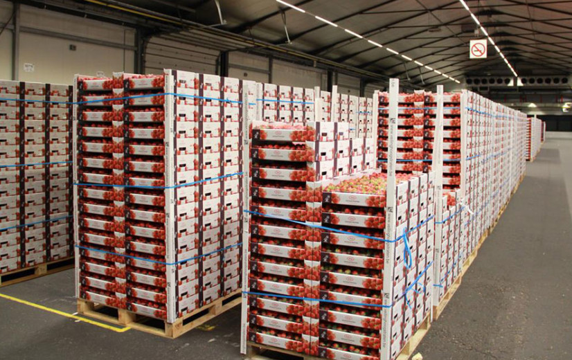 Hoogstraten onderzoekt samenwerking met Nederlandse telerscoöperatie