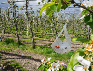 "Rechtszaak natuur- en milieuorganisaties tegen Vlaams pesticidenbeleid is niet fair"