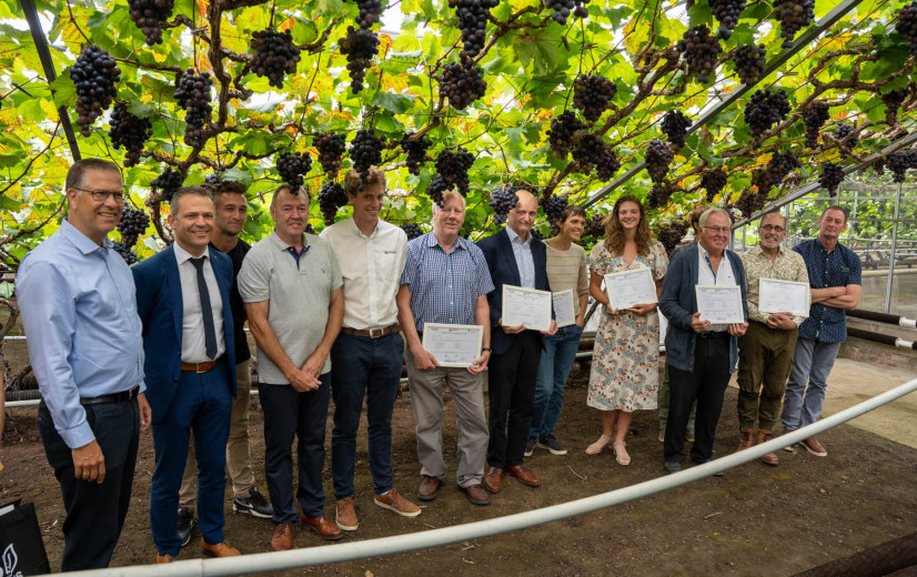 10 afgestudeerden moeten druiventeelt nieuw leven in blazen