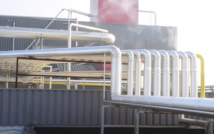 Omwonenden pluimveeverwerker Empro verbolgen om geurvonnis: boete maar geen exploitatieverbod