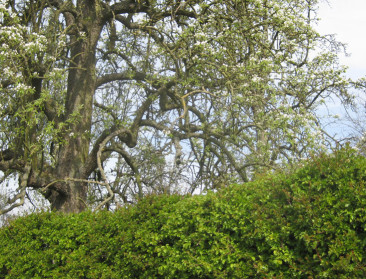 Eigenaars zorgen voor grootste groei in beheerde natuur