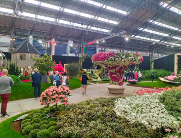 Gent maakt zich op voor historisch bloemen- en plantenfestival Floraliën