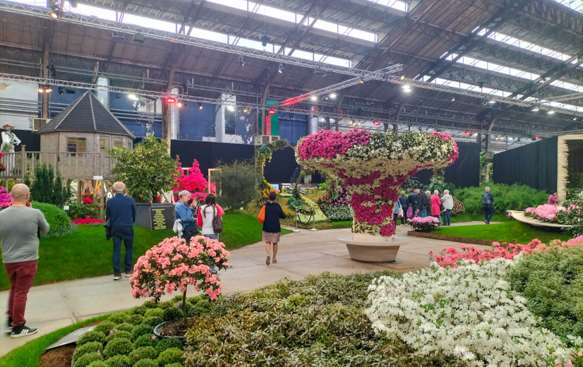 Gent maakt zich op voor historisch bloemen- en plantenfestival Floraliën