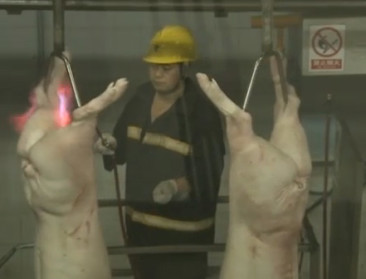 Hoge varkensprijzen bezorgen China kopzorgen