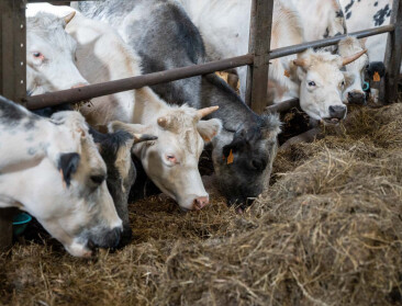 Renure niet toegestaan in de biologische landbouw