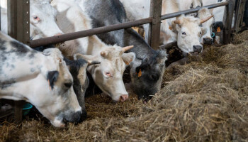 Renure niet toegestaan in de biologische landbouw
