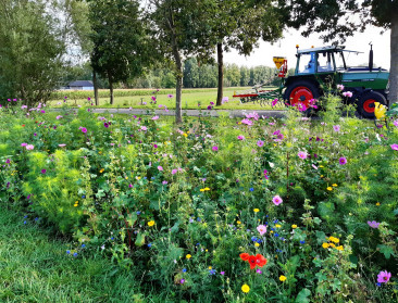 Oost-Vlaamse boeren en imkers beplanten mee het landschap