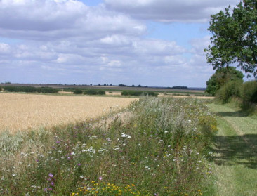 Landbouwers positief over agromilieu-klimaatmaatregelen