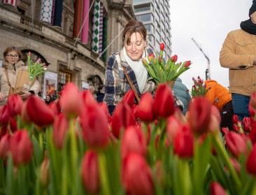 Met gratis tulpen in Antwerpen wil sierteeltsector zeker ook jongeren bereiken