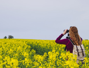 Gezocht: redacteur/digital media manager bij VILT
