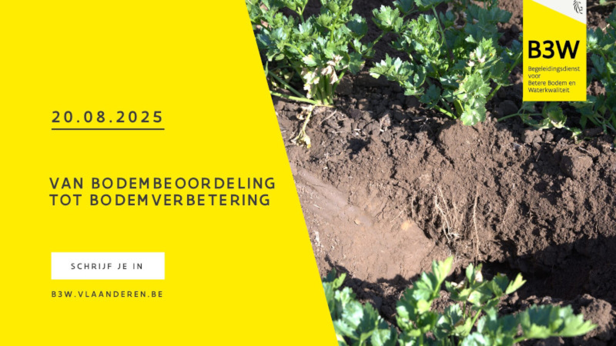 Thematisch uitwisselingsmoment: Van bodembeoordeling tot bodemverbetering