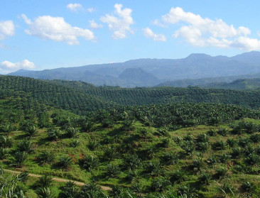 Soja en palmolie binnenkort niet meer in biobrandstoffen