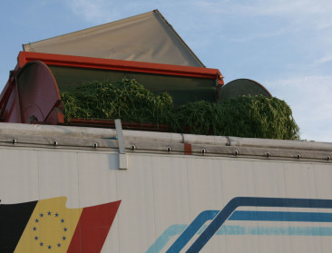 Contractprijzen stoten groenteboeren tegen de borst