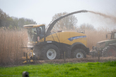 Miscanthus oogsten met hakselaar2