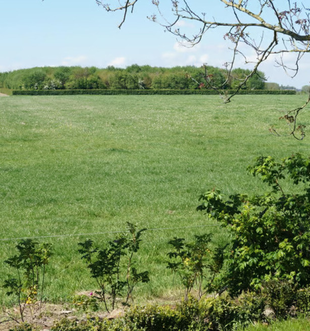 ANB koopt 30 hectare landbouwgrond aan “hallucinante prijzen”