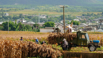 China legt landbouwkoers tot 2030 vast: meer oogst uit eigen grond