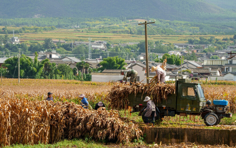 China legt landbouwkoers tot 2030 vast: meer oogst uit eigen grond