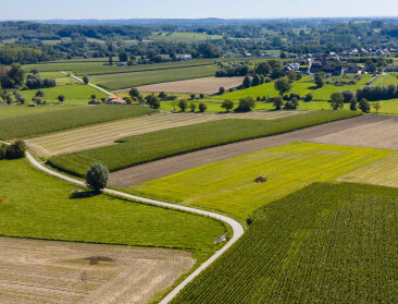 Oost-Vlaanderen legt 17 speerpunten voor toekomstgerichte landbouw vast