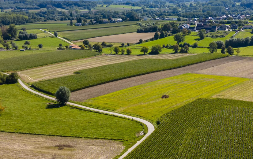 Oost-Vlaanderen legt 17 speerpunten voor toekomstgerichte landbouw vast