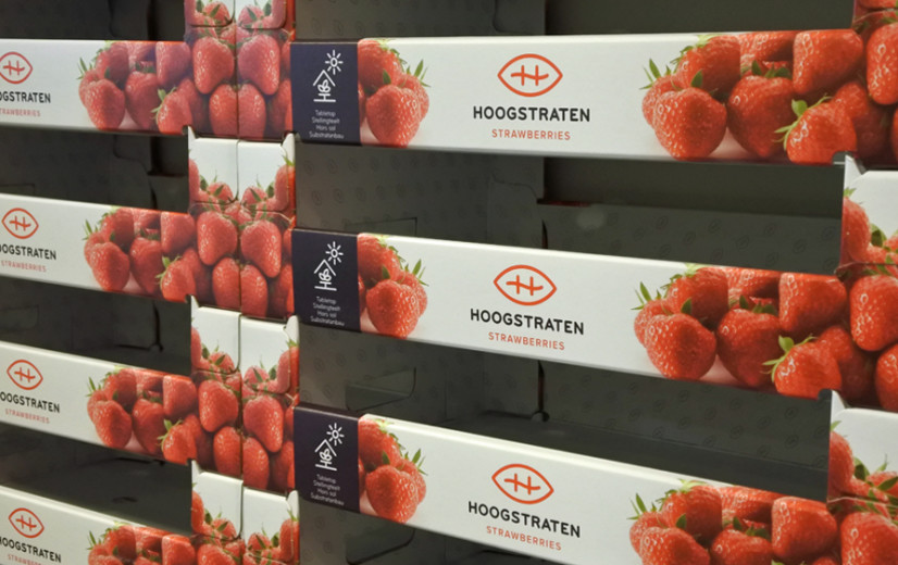 Coöperatie Hoogstraten gaat in Spanje schade door noodweer opmeten