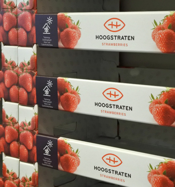 Coöperatie Hoogstraten gaat in Spanje schade door noodweer opmeten