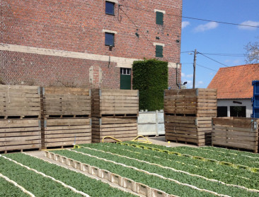 Boerenbond vraagt dat GLB terug naar de basis gaat