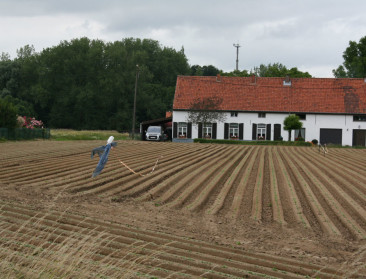 Schauvliege luidt eindfase beleidsplan ruimte in