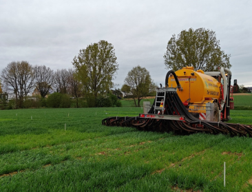 Kunstmest vervangen bij wintertarwe? Dit leert de praktijk