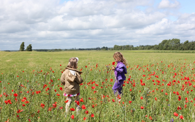 Akkers mogen niet plots betreden worden door vernieuwd goederenrecht