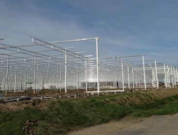 Raad van State vernietigt PRUP Glastuinbouwzone Melsele