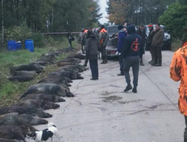 Geluiddemper op jachtgeweer vergt aanpassing wapenwet