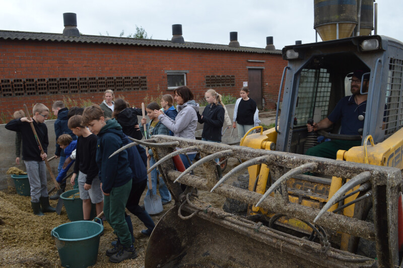 stem op de boerderij 3