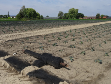 Nieuwe VRIND-cijfers brengen landbouw in kaart