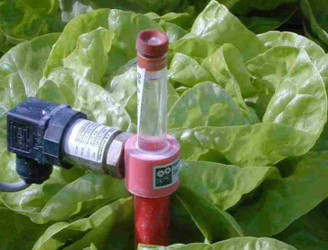 Steun voor irrigatieproject Den Diepen Boomgaard