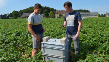De sleutel tot uitstootreductie? ILVO onderzoekt vergeten broeikasgas
