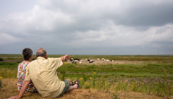 Vakantie in Frankrijk brengt rundveehouder op gouden korteketenconcept