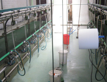 Boer zoekt een gedreven helper en geen alleskunner