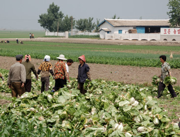 Noord-Koreaanse leider Kim Jong-un roept op tot meer voedselproductie