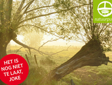 Bijna 82.000 ondertekenaars voor 'natuur in de buurt'