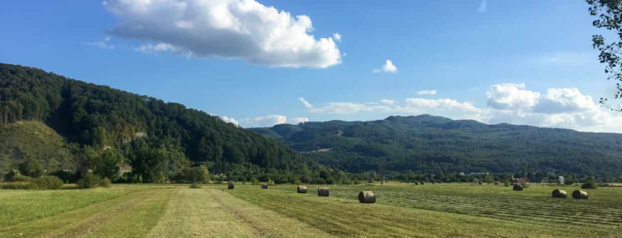 Roemenië landbouw 