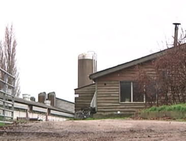 Geen milieuvergunning voor groot zeugenbedrijf in Halen