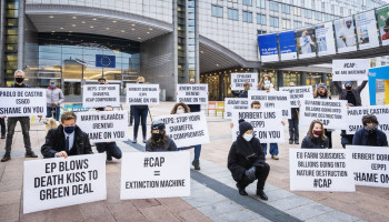 Europa onderzoekt GLB-scenario’s: investeren in productiviteit, duurzaamheid, of… niets?