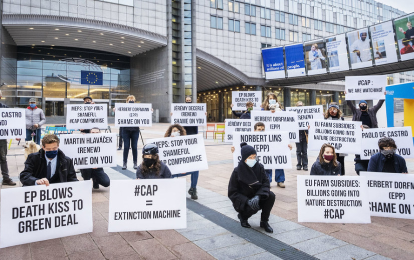 Europa onderzoekt GLB-scenario’s: investeren in productiviteit, duurzaamheid, of… niets?