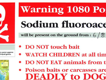 Nieuw-Zeeland in de ban van 1080-dreiging