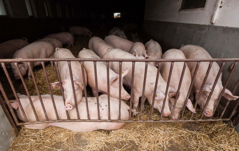 Eerste stikstofinvestering van AIF gaat naar meettechnologie