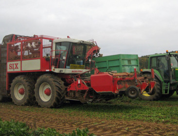 Südzucker gaat prat op duurzame teelt van suikerbieten